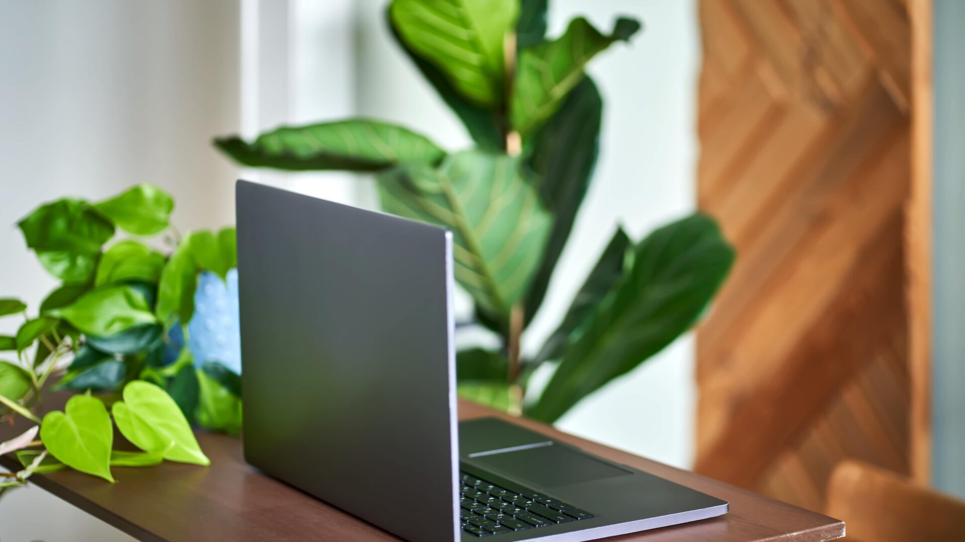 laptop-on-a-wooden-table-against-of-plants-2025-03-14-02-23-57-utc-min