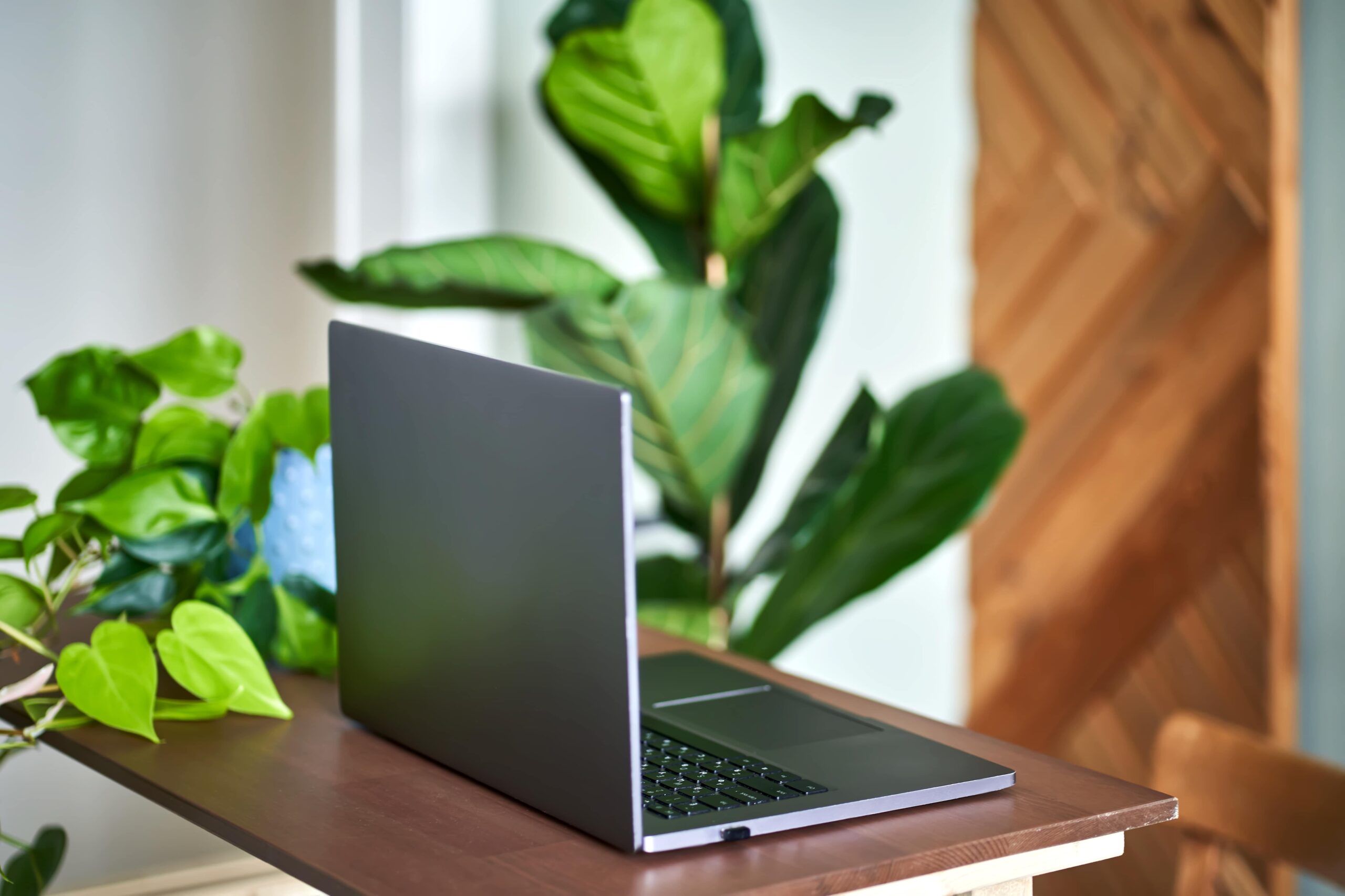 laptop-on-a-wooden-table-against-of-plants-2025-03-14-02-23-57-utc-min